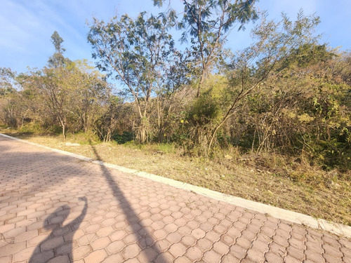Venta Lote Gladiola 38 De Vistas Panorámicas Con Todos Los Servicios Y Proyecto Incluído En Fracc Rancho San Diego Ixtapan De La Sal Edomex