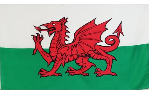 Bandera Gales (tamaño 90x150cm) Doble Faz Polyester