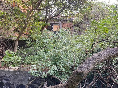 Terreno En Venta En Héroes De Padierna, Tlalpan