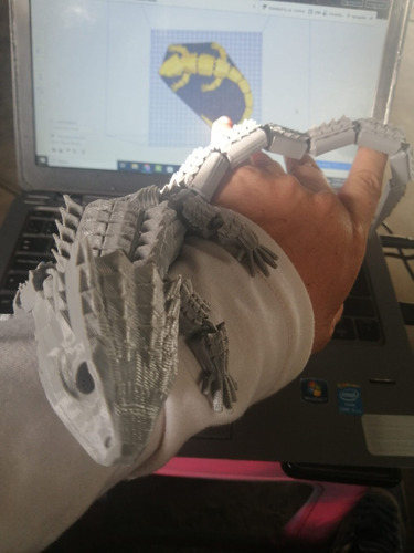 Lagarto Armadillo (espinoso) Articulado