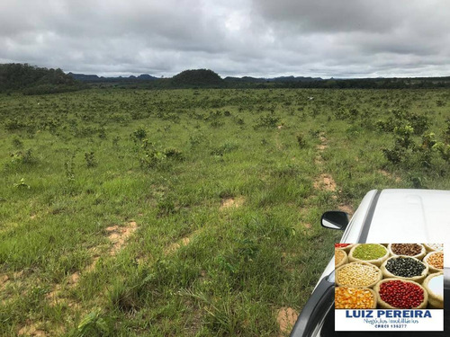 Imagem 4 de 15 de Fazenda À Venda Em Recursolândia - Ms - De 1.041 Alqueirões - 1648