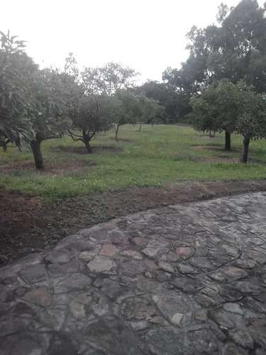 Rancho En Xochitlan