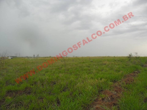 Imagem 5 de 14 de Venda - Área - Zona Rural - Nova Odessa - Sp - D7830