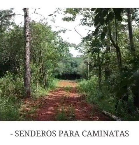 Imagen 10 de 11 de Venta Lote 6 Sobre Ruta 213 Con Salida A Ambas Calles - Barrio Naranjos Country