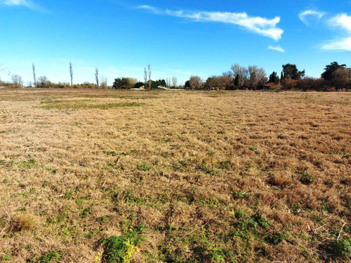 Imagen 2 de 3 de Hermoso Lote De 40 X 112 Mts En Venta En #trenquelauquen