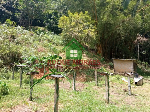 Imagem 15 de 25 de Sítio Com 38.000 M² No Vale Do Ribeira Sp Ref.: 0869
