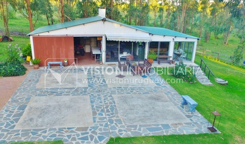 Imagen 16 de 30 de Chacra De 15 Hás Con El Confort De Hermosa Casa Reciclada, Barbacoa Y Piscina Climatizada.