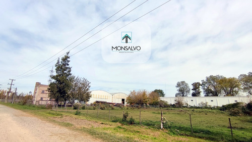 Imagen 5 de 11 de Unico Lote De 2264 M2, Oportunidad