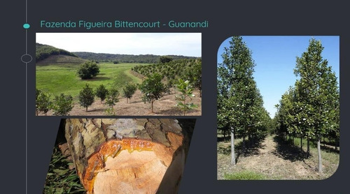 Imagem 5 de 6 de Fazenda - Fa00001 - 69012641