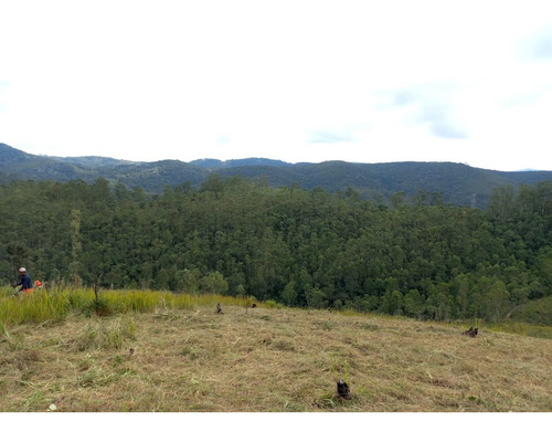 Imagem 10 de 11 de Lote/terreno Com Documentação Atualizada Em Cartório, 600m², Mairiporã-sp
