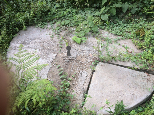 Chácara A Venda No Bairro Centro Em Bocaiúva Do Sul - Pr. - 411-1