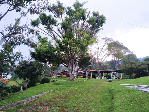 Imagen 5 de 12 de Vendo Espectacular Finca De 6 Hectáreas - Club De Campo