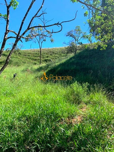 Imagem 14 de 16 de Rural Chacara - 234221-v