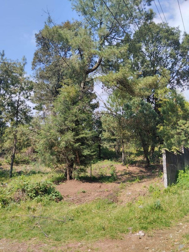 Terreno Plano Con Todos Los Servicios