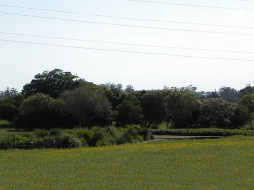 Campo En Venta En Maldonado Ref. 1667