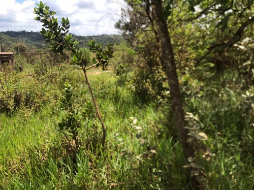 Imagem 5 de 30 de Chácaras Castelo Branco Km 68 Condomínio Vale Da Esperança Mairinque S-p