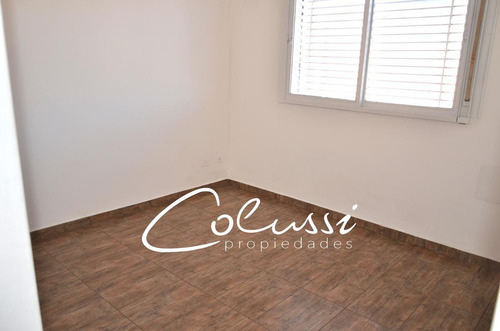 Imagen 10 de 30 de Venta Depto 3 Amb C/patio Galpon Con Trifasica !oportunidad 230m2!!!