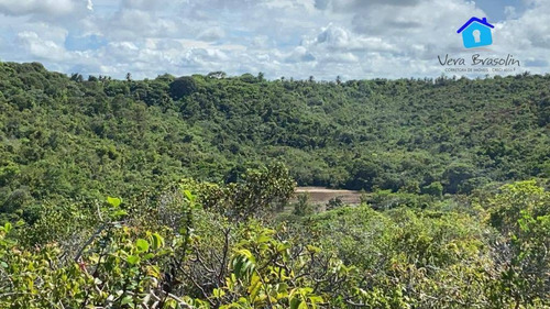 Imagem 12 de 12 de Terreno 3.000m² Em Tabatinga (excelente Para Condomínios E Hotéis) - Te0784