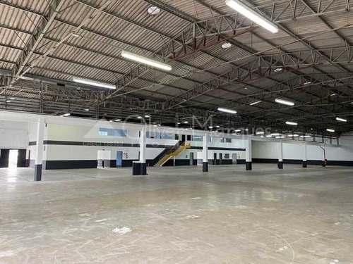 Imagem 1 de 14 de Galpão Em Jardim Humaitá, São Paulo/sp De 7668m² Para Locação R$ 122.016,00/mes - Ga1013433-r