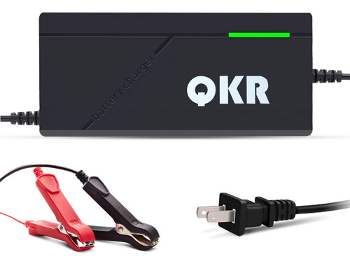 Cargador De Batería Lifepo4 14.6v 10a Con Protección Integra
