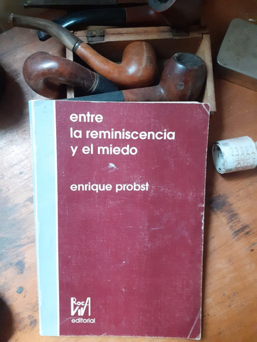 Entre La Reminiscencia Y El Miedo // Probst Enrique