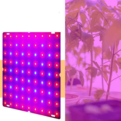 Lrxp Sroje Lámpara De Crecimiento, Luz Led Azul Y Roja, Luz
