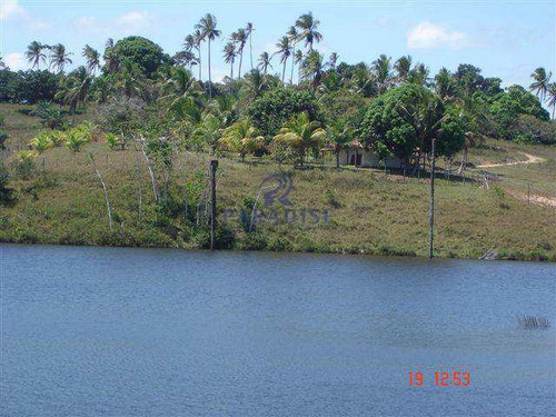 Imagem 8 de 13 de Fazenda Itacimirim (camaçari) - R$ 1.7 Mi, Cod: 22700 - V22700