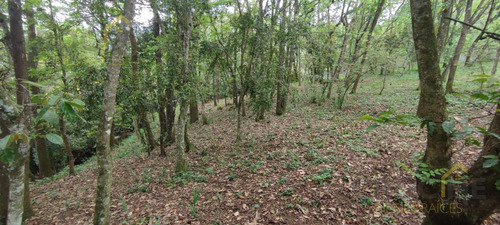 Terreno Enventa En Piedra De Agua En Jilotepec Veracruz