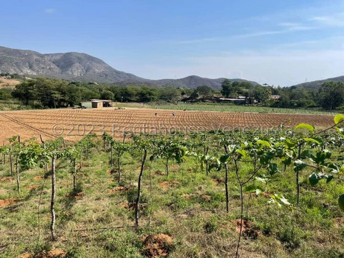 Carlos Colmenarez Vende Fabulosa Finca De 13ha. Con: 2 Lagunas, Agua Por Buco A Gravedad, Posee Electricidad 110 Y 220, Ubicada A Pocos Minutos Del Centro Del Tocuyo Con Acceso Directo De La Autopista