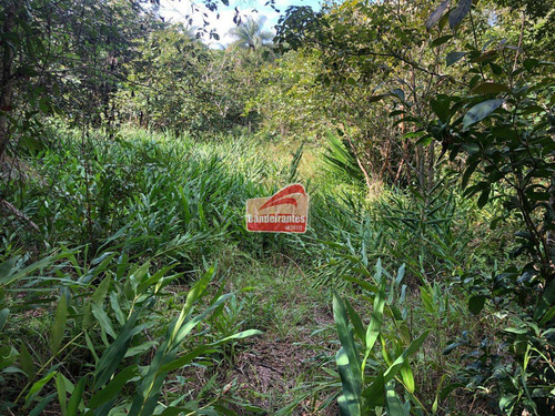 Chácara À Venda, Fazendinhas Amaro - Lagoa Santa/mg - 1393