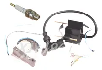 Comprar Estator Magneto Bobina De Encendido Cdi Y Bujia 49cc 66cc 80