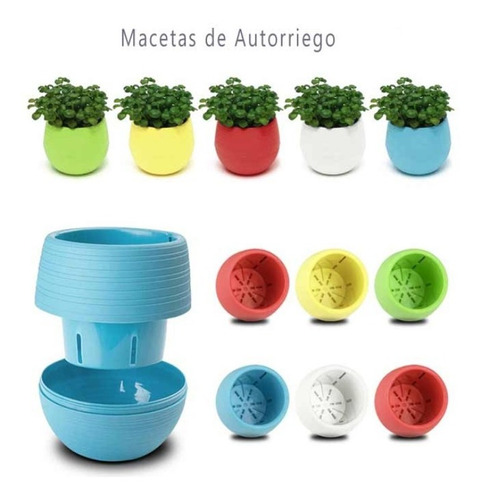 Materas Autorriego X 20 Unidades Para Suculentas O Cactus 