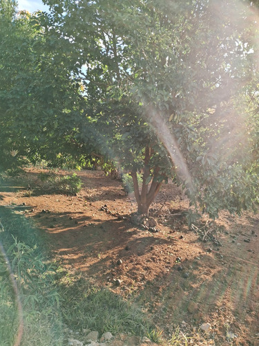 Chácara Ouro Fino Sul De Minas