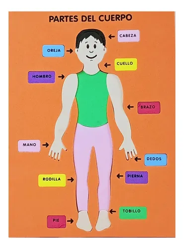 Encaje Cuerpo Humano Todo Goma Eva Figura Humana