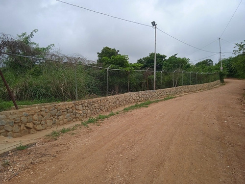 Imagen 5 de 12 de Granja Venta Cabudare En Venta, Piedad Sur, Estado Lara