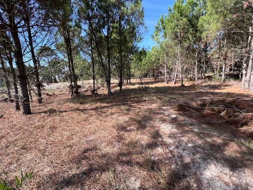 Imagen 7 de 12 de Venta Terreno Lomas De Solymar Canelones