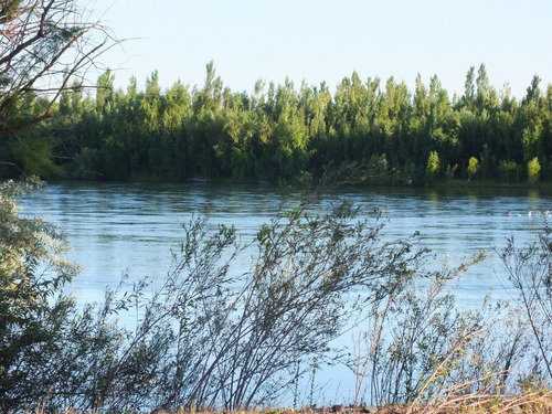 Campo 96ha, Luis Beltrán, Río Negro, Patagonia, Costa De Río.