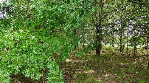 Venta Chacra 1 Ha, Arbolado Manzanares, Pilar