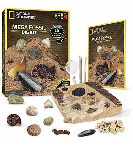 National Geographic Mega Fossil Dig Kit - Excava 15 Fosiles