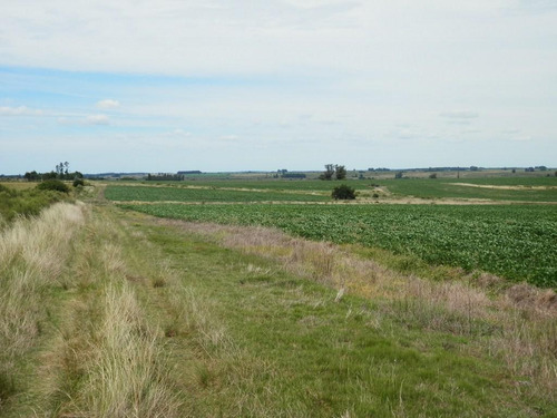 Solis De Mataojo 183ha Agr-gan Sobre Ruta 8
