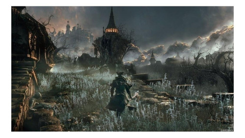 Bloodborne Standar Edition Ps4 FĂsico