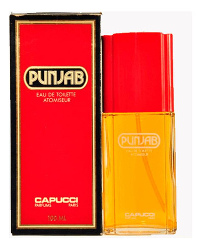 Capucci Punjab Edt 120ml Para Hombre