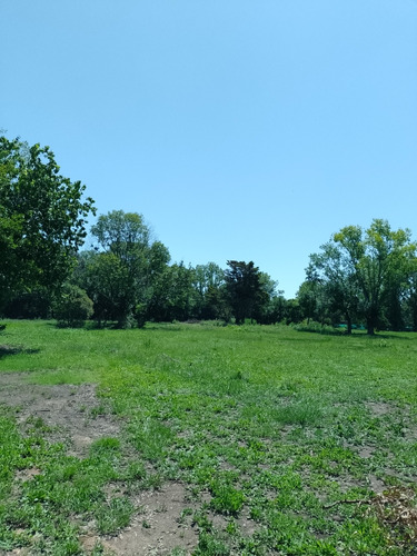 Terreno En Barrio Cerrado Los Pinos Iii