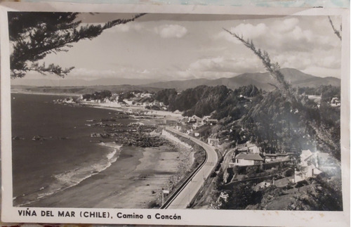 Postal Antigua Viña Del Mar Camino A Con Con 1950(ff93