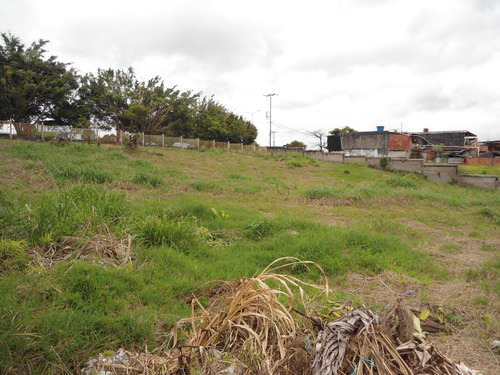 Imagen 6 de 7 de Terreno 2000mts Av. España P. Nvo.