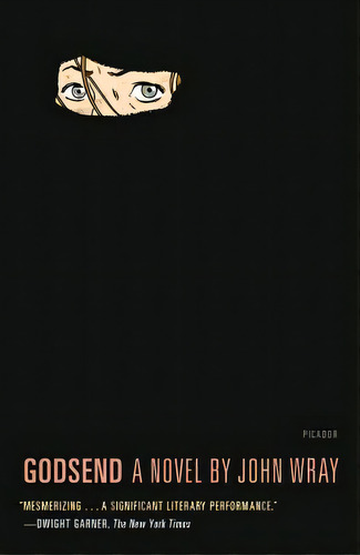 Godsend, De Wray, John. Editorial Picador, Tapa Blanda En Inglés