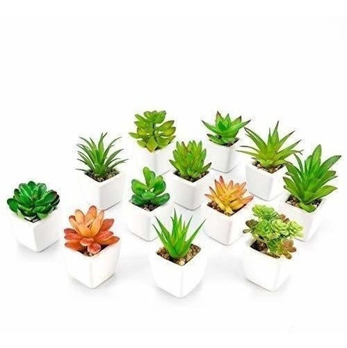 Woodword Falso Suculentas Plantas En Maceta Mini Plantas Art