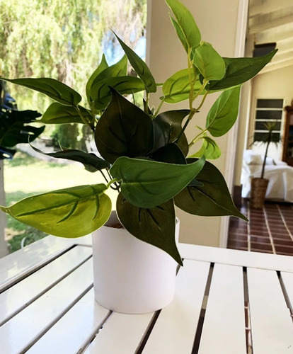 Imagen 7 de 10 de Plantas Artificiales De Escritorio Combo Pack X2