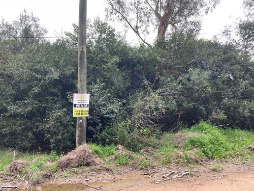 Venta Terreno Punta Del Este