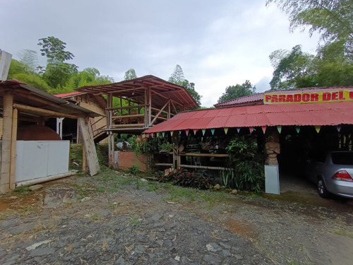 Se Vende Vende Casa Lote Montenegro - Quimbaya Quindío